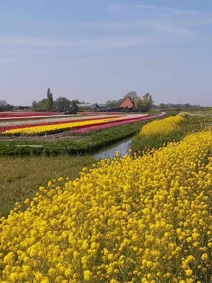 Achterom 7 Bed and Breakfast Hoorn  Eksteriør billede